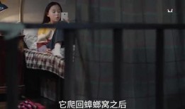 对镜爆料小孩被打视频,揭露校园暴力，孩子被打视频引发社会关注